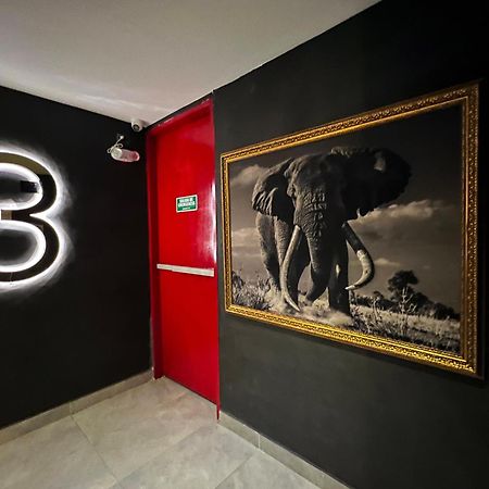 Hotel Zelva Negra Medellín Extérieur photo