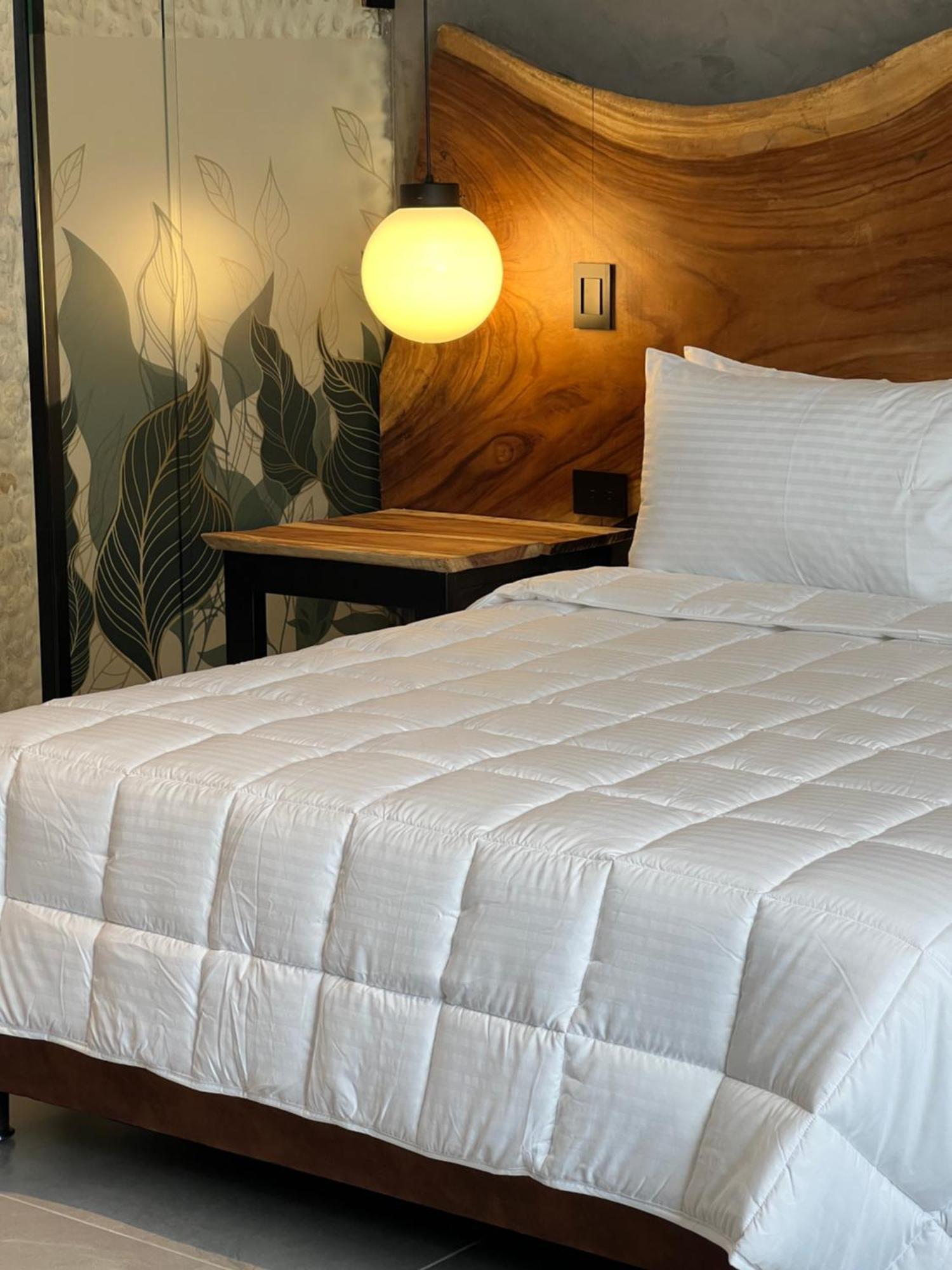 Hotel Zelva Negra Medellín Extérieur photo
